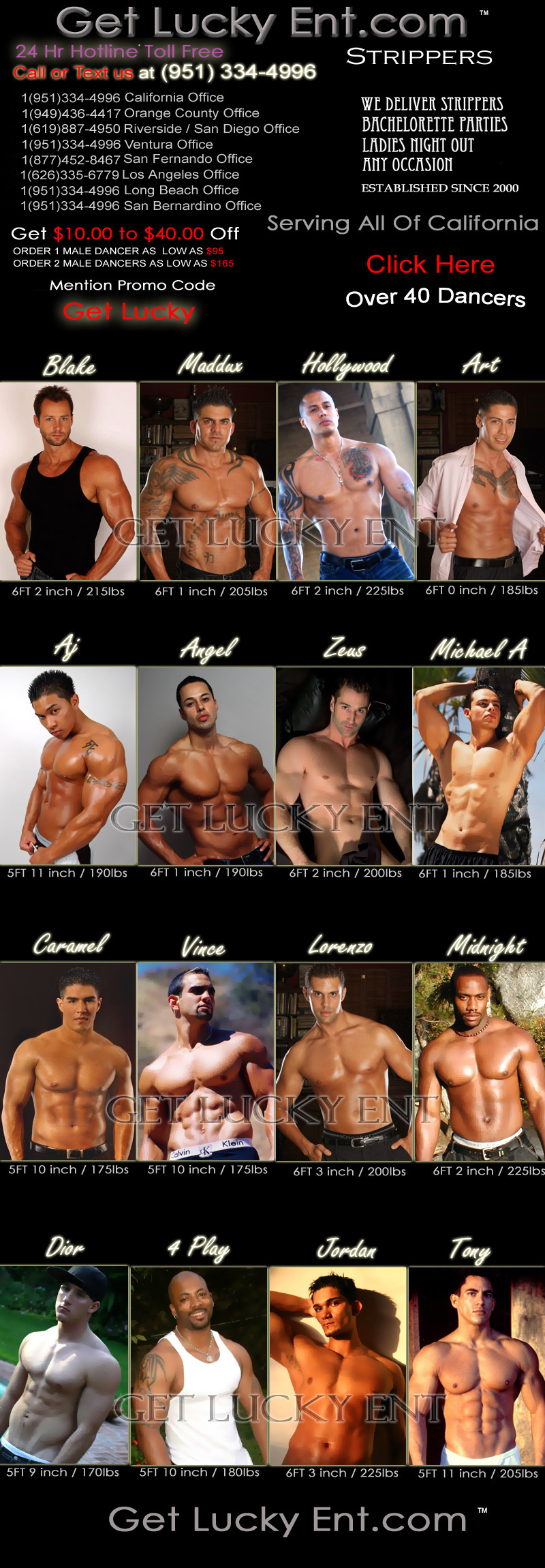 Male Exotic Dancers